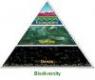 Ecological diversity