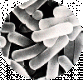 Lactobacillus acidophilus