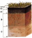 http://upload.wikimedia.org/wikipedia/commons/9/95/Soil_profile.png