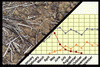 Soil >> Trends and regularties