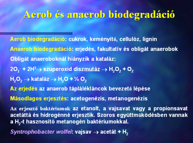 Aerob és anaerob biodegradáció