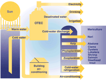 Ocean thermal energy conversion