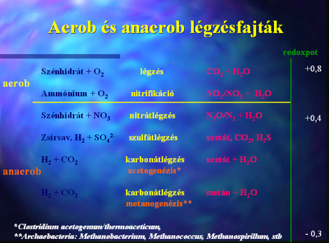 Aerob és anaerob légzésfajták