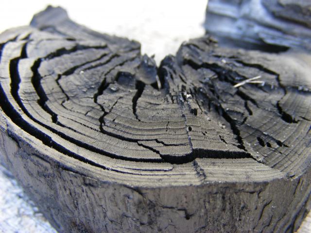 Biochar from wood