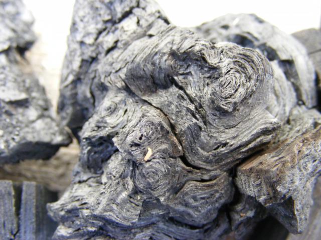 Biochar from wood
