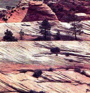 Cross bedding due to wind transport in Zion National Park (Utah, USA)