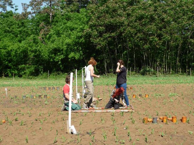 Mintavétel 2015.05.19._7