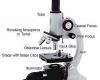 Parts of the microscope