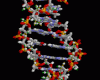 http://en.wikipedia.org/wiki/File:ADN_animation.gif