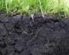 A talaj mikrobiális biomassza meghatározása fumigációs módszerekkel