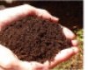 Vegyi anyagok hatása talaj szénanyagcseréjére